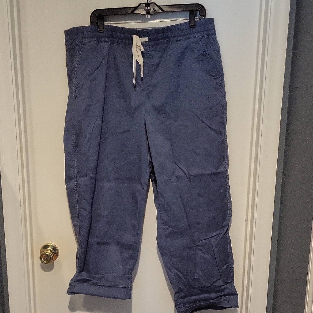 Lane Bryant Blue Elastic Waist Pants